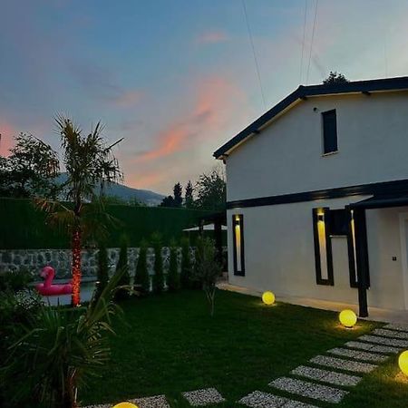 Shino Sapanca'Da Sicak Havuzlu Tatil Keyfi! Villa Ngoại thất bức ảnh