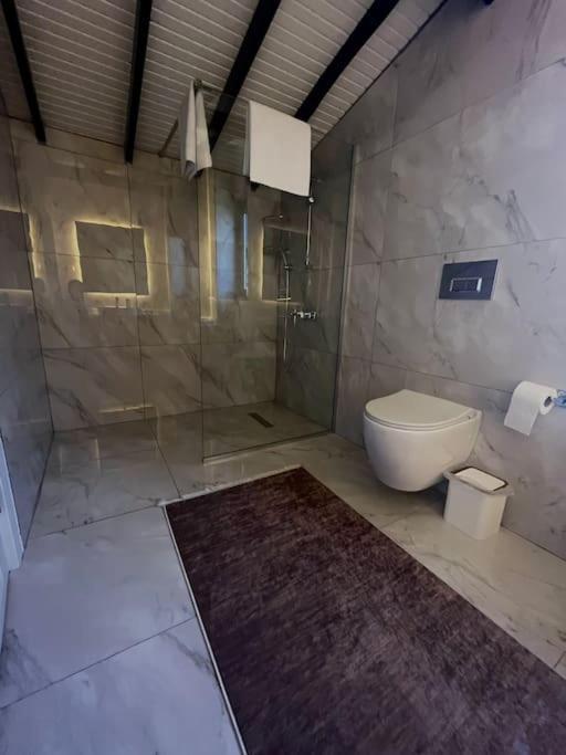 Shino Sapanca'Da Sicak Havuzlu Tatil Keyfi! Villa Ngoại thất bức ảnh